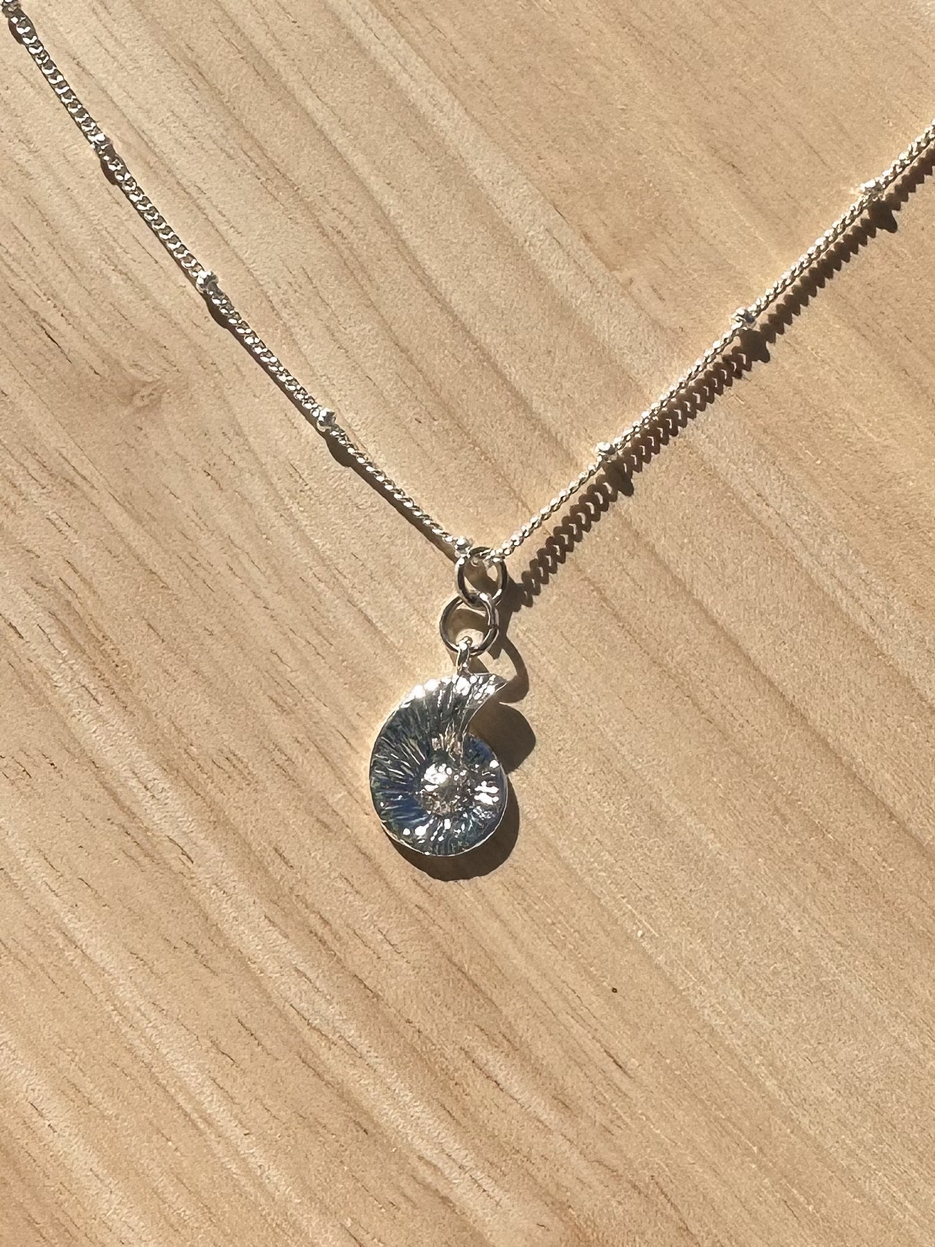 Silver nautilus shell with cz centre on a timber background