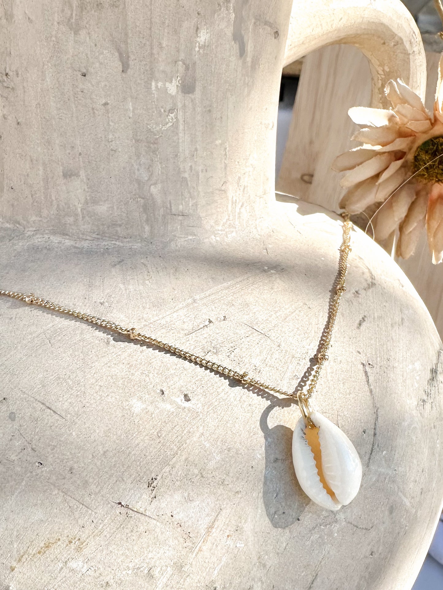 Gold cowrie shell necklace displayed on textured ceramic vase with warm natural light.