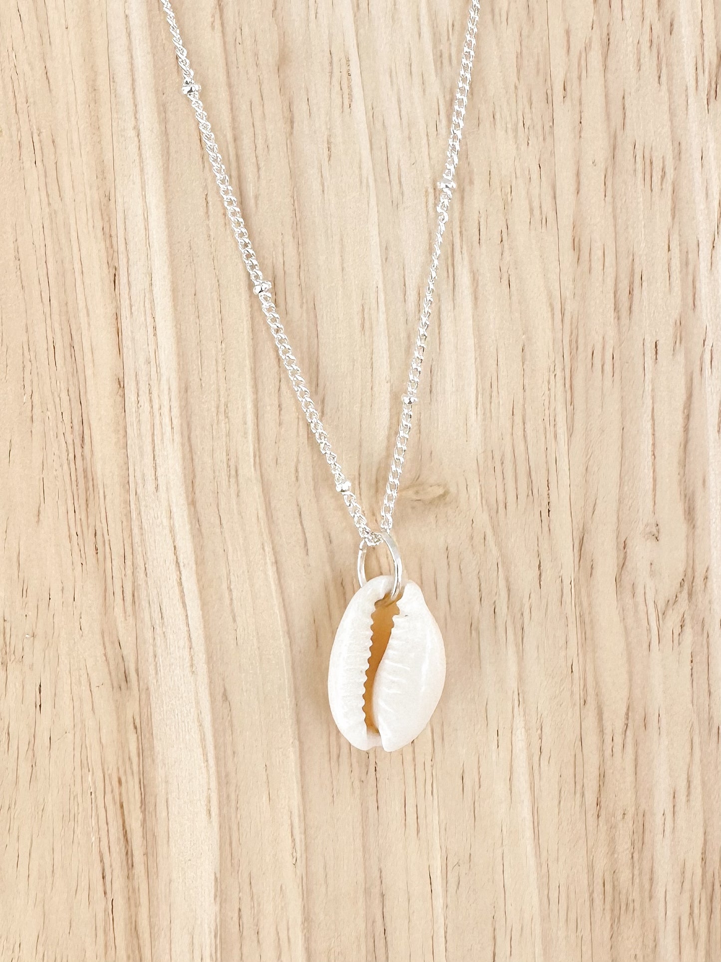 Natural cowrie shell pendant on a silver chain on a timber background