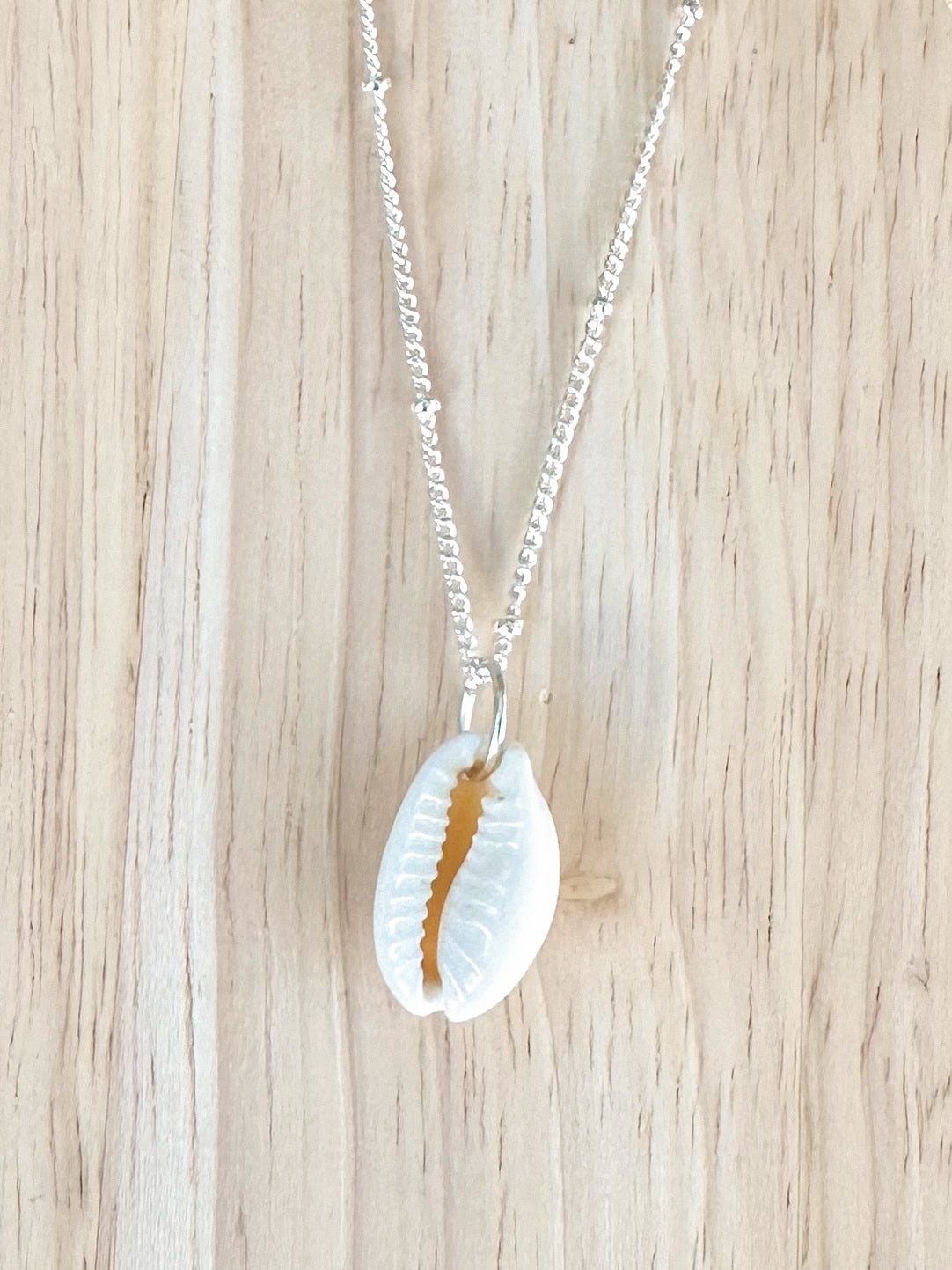 Natural cowrie shell pendant on a silver chain on a timber background