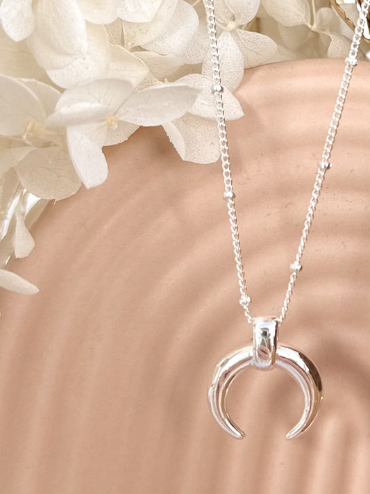 Silver crescent moon necklace draped on a arches vase with dried flowers