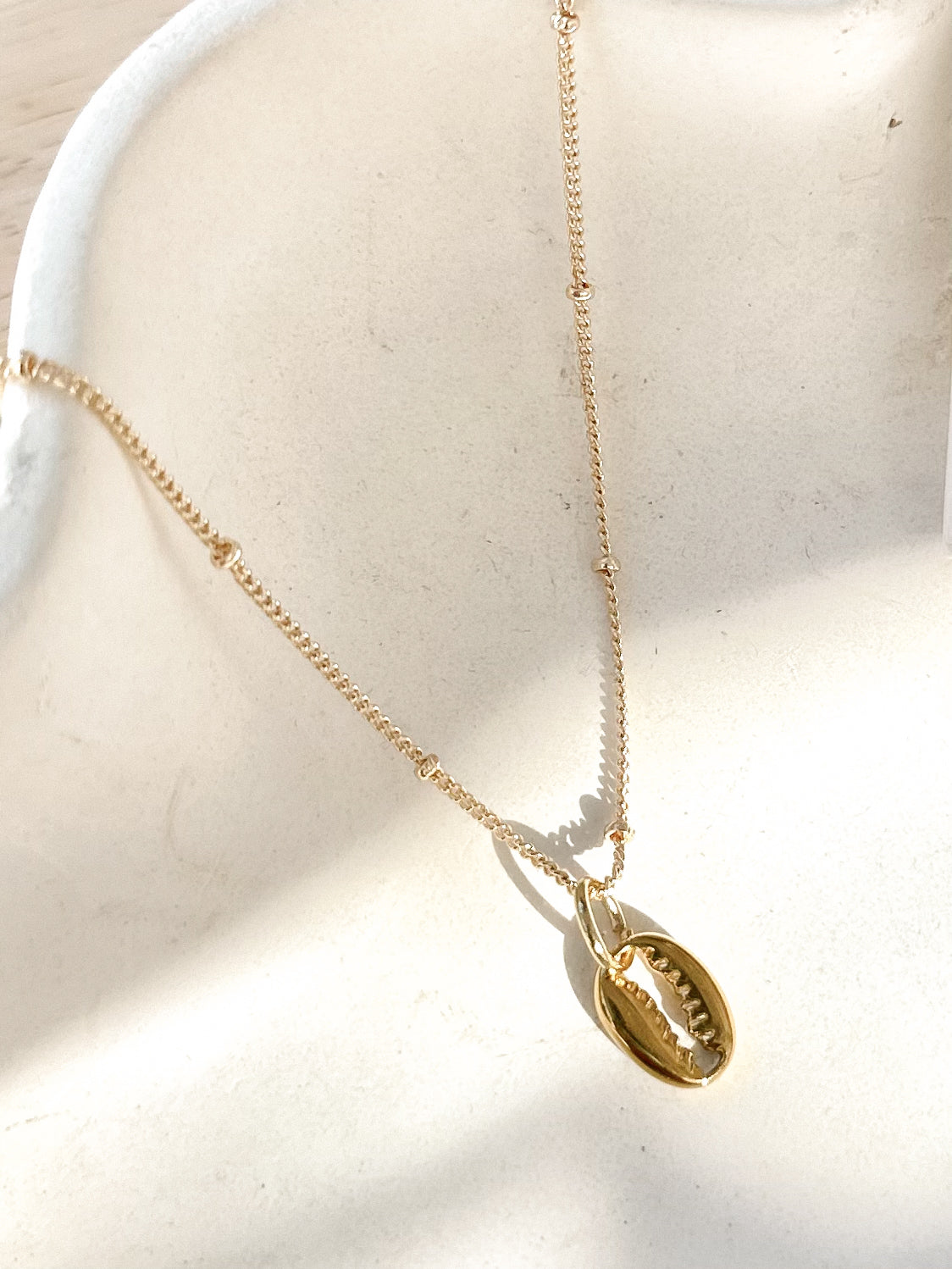 Gold cowrie shell pendant on an 18k gold satellite chain with soft shadows
