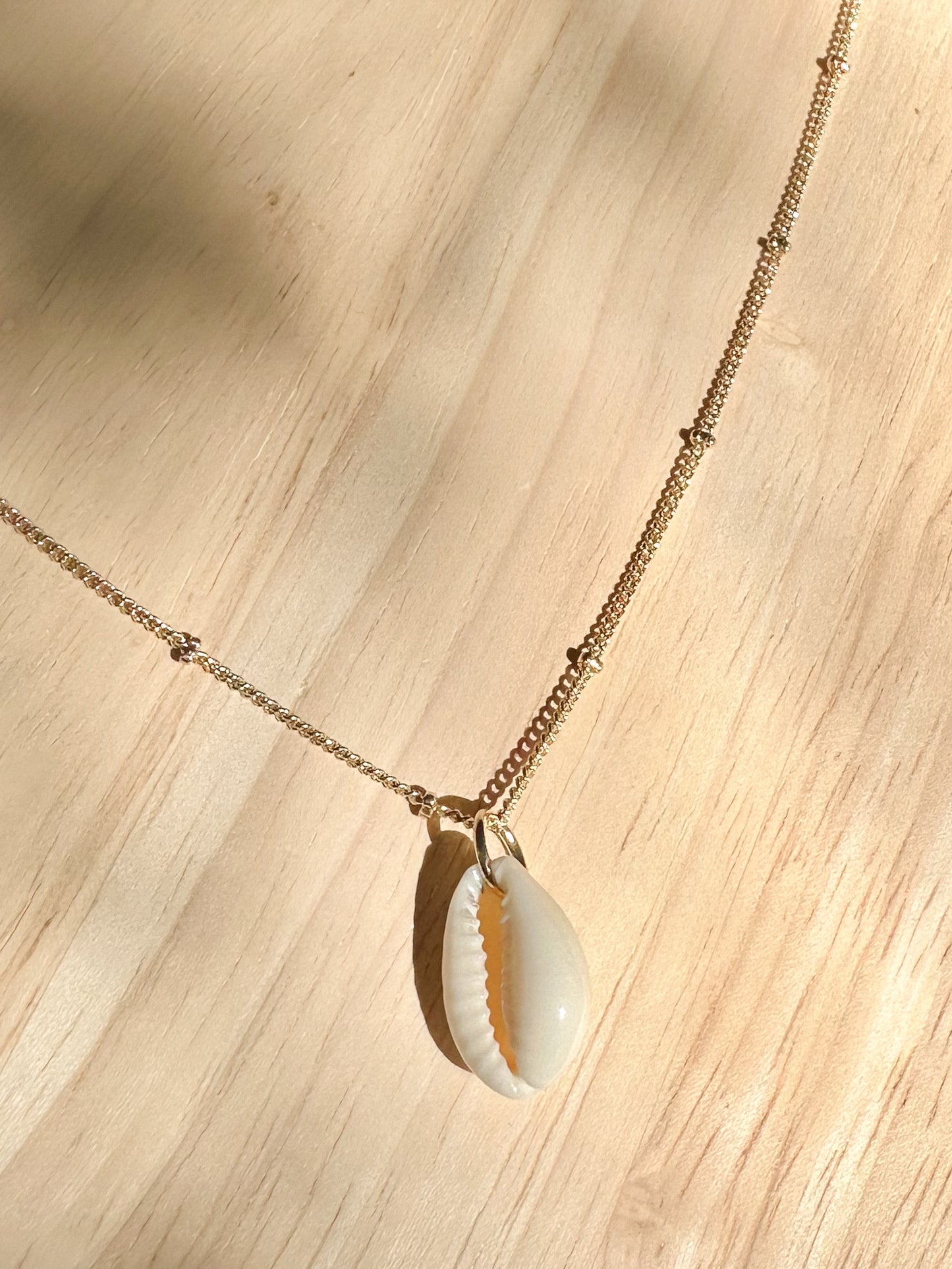 Gold cowrie shell necklace displayed on timber background with warm natural light.