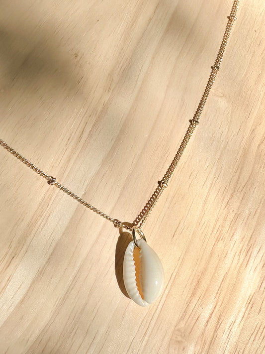 Gold cowrie shell necklace displayed on timber background with warm natural light.