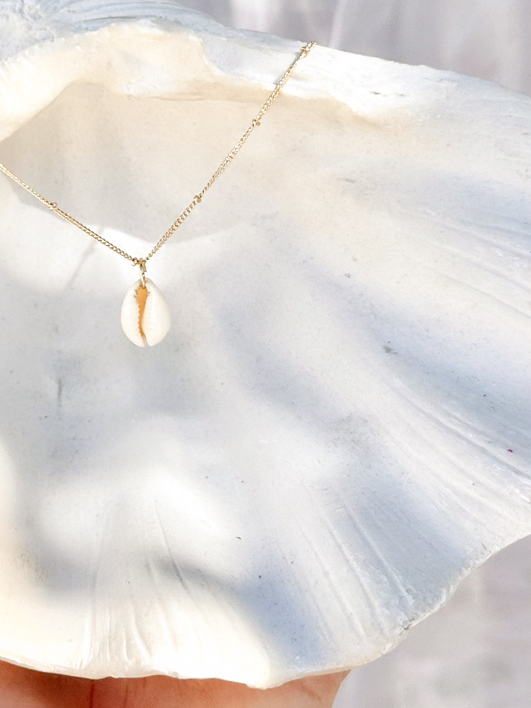 Gold cowrie shell necklace displayed on large shell with warm natural light.
