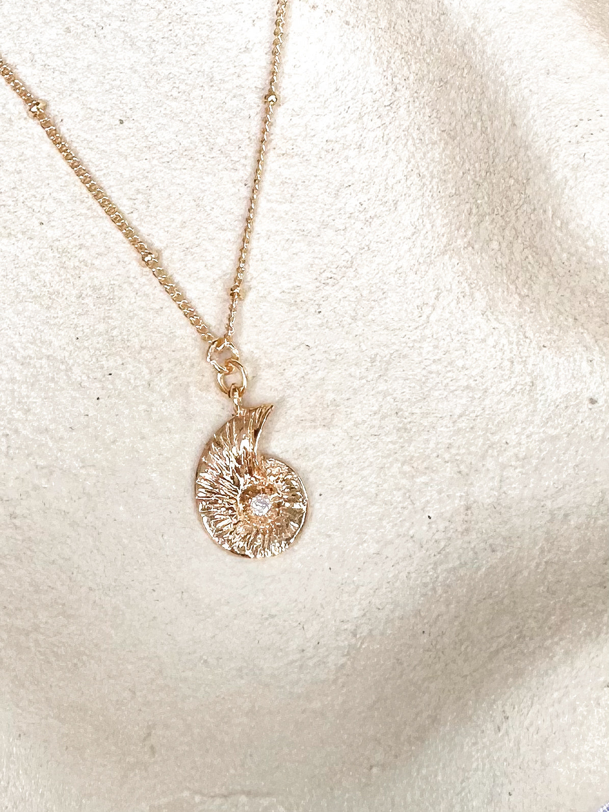 Gold nautilus shell necklace on a white textured background